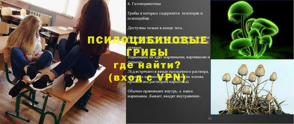 МДПВ Пересвет