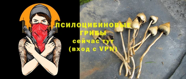 a pvp Армянск
