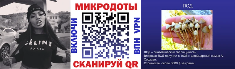продажа наркотиков  Судогда  Псилоцибиновые грибы MAGIC MUSHROOMS 